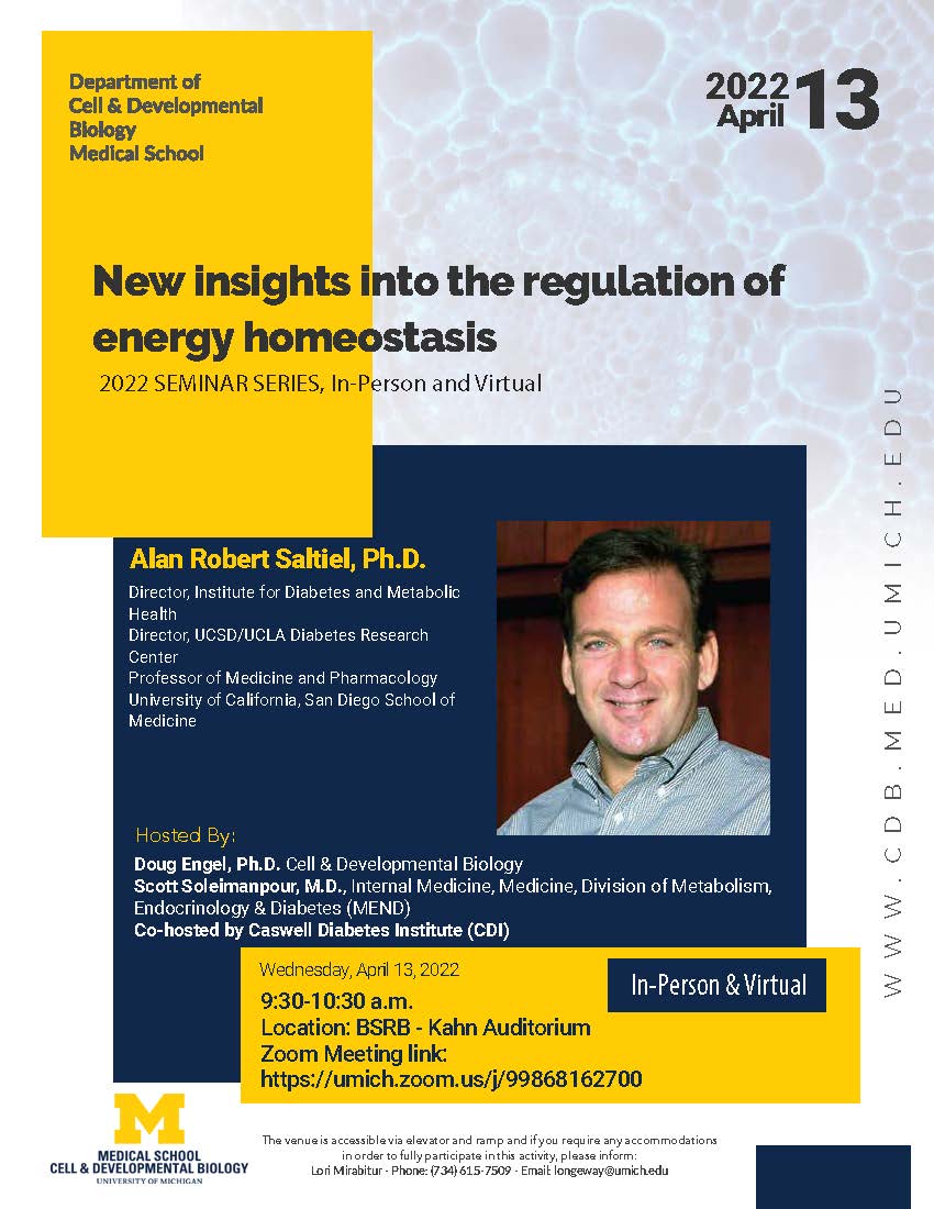New Insights Into The Regulation Of Energy Homeostasis | Happening @  Michigan