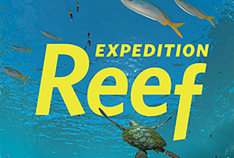 Learn the secrets of the “rainforests of the sea” as you embark on an oceanic safari of the world’s most vibrant—and endangered—marine ecosystems.
