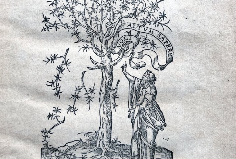 Man pointing up toward  the branches of an olive tree with the text "alt um sapere noli" which means "Don't be afraid to know."