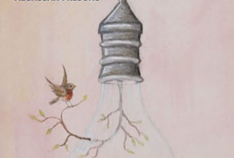 A detailed drawing shows a hanging light bulb containing water and a small plant, with a branch and a bird flying nearby. Blue and yellow event text highlights the 30th Annual Exhibition of Artists in Michigan Prisons.
