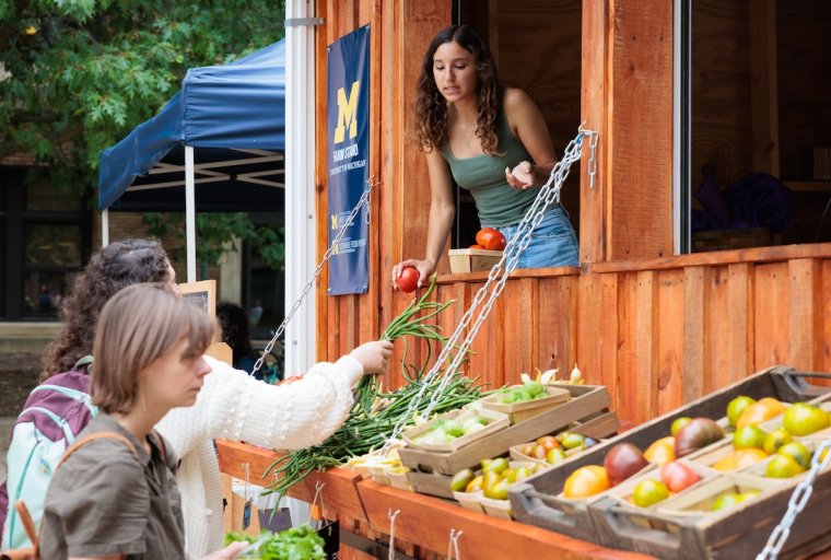A farm stand employee restocks tomatoes out of a trailer window while two customers shop for beans and tomatoes.