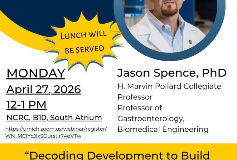 flyer for the Caswell Diabetes Institute Seminar Series (University of Michigan). Features a circular headshot of the speaker on the right and text announcing a Monday, April 27, 2026 seminar from 12–1 PM in NCRC, B10, South Atrium (Zoom registration link included). Speaker: Jason Spence, PhD, H. Marvin Pollard Collegiate Professor; Professor of Gastroenterology and Biomedical Engineering. Yellow starburst reads “Lunch will be served.” Talk title: “Decoding Development to Build Human Organoids.” CDI logo and contact links appear at the bottom.