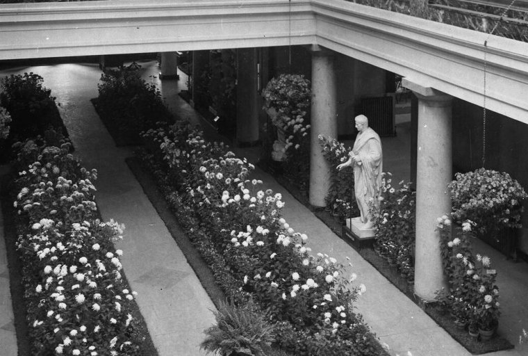 UMMA Highlights Tour: Art, Architecture and Renewal