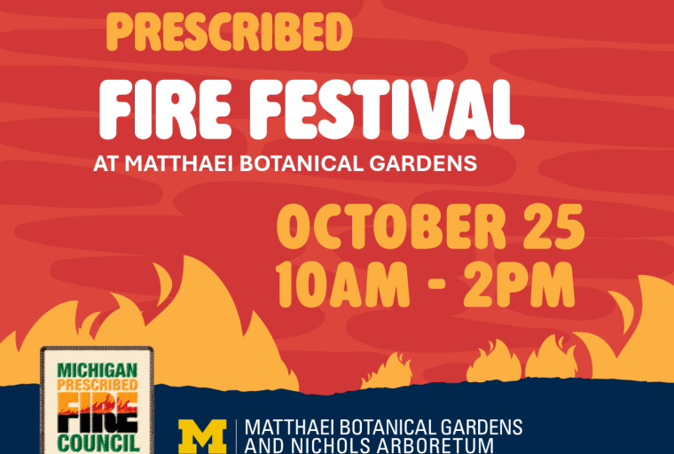 Image features the title of event with an orange and red fire graphic
