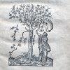 Man pointing up toward  the branches of an olive tree with the text "alt um sapere noli" which means "Don't be afraid to know."
