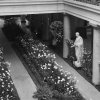 UMMA Highlights Tour: Art, Architecture and Renewal