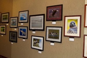 Photo of the exhibit Photo of the exhibit