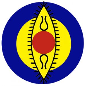 SPIC MACAY at the University of Michgan SPIC MACAY at the University of Michgan