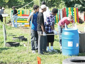 Students participate in service learning activities at DTown Farm, Detroit, MI