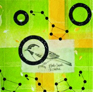 Migration: Paper, Graphite & Collage by Yoriko Hirose Cronin