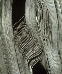 Hana Hamplová, Untitled, 1981, gelatin silver print, UMMA, Gift of Mrs. Marion H