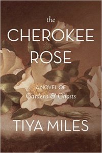 Cherokee Rose Cherokee Rose