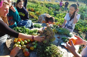 Campus Farm