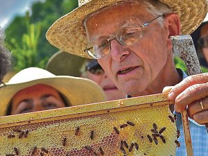 Gunther Hauk holding a bee hive section