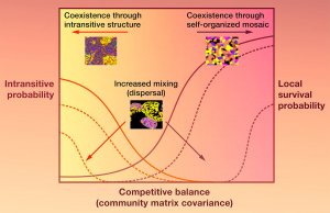 competitive balance diagram