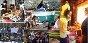 Collage of global service photos