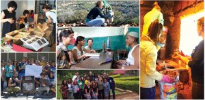 Collage of global service photos
