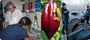 Students in STEM fields around the globe