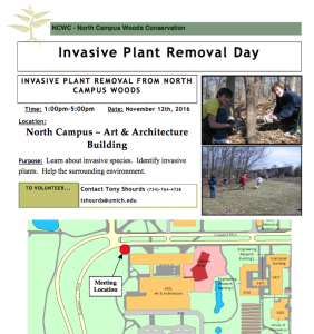 Invasive Plant Removal Flyer