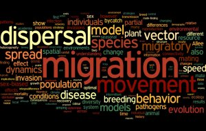Word cloud Word cloud