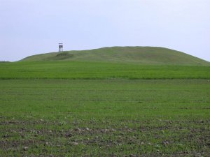 Brown Bag-O'Shea 11/10/2016