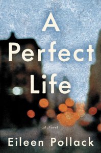 A Perfect Life book cover