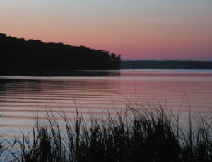 The pink and blue sky of the setting sun is reflected in the rippled surface of a woodland lake.