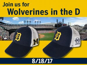 Wolverines in the D