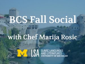 bosnian croatian serbian fall social