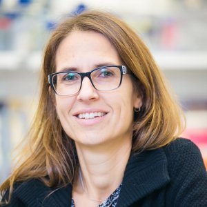 Claudia Fishbach-Teschl, Ph.D.