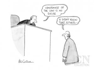Excuses and Justifications in Epistemology