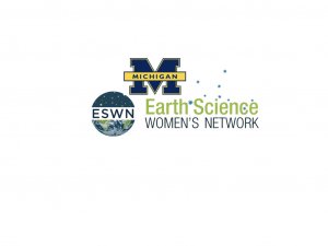 MESWN logo