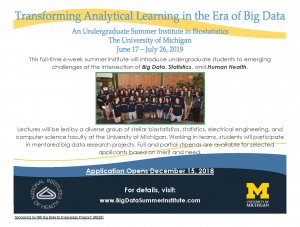 Big Data Summer Institute Flyer