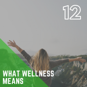 CSP Workshop: What Wellness Means