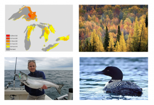 A map of Michigan, an aerial forest shot, a woman holding a fish, and a loon