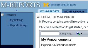 m-reports screenshot