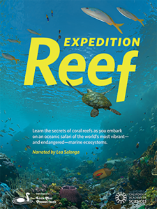 Expedition Reef