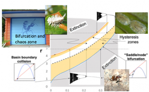 Extinction graph with images showing various members of the ecological community he studies. Text on graph includes: bifurcation and chaos zone, basin boundary collision, hysteresis zones, saddle/node bifurcation and extinction graph shows upward trend