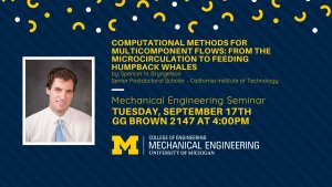 Computational Methods for Multi-Component Flows: From the Microcirculation to Feeding Humpback Whales Computational Methods for Multi-Component Flows: From the Microcirculation to Feeding Humpback Whales