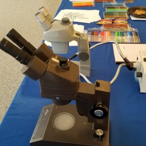 An activity station from a biology outreach event in August