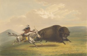 "Buffalo Hunt, Chase" by artist George Catlin (1844)
