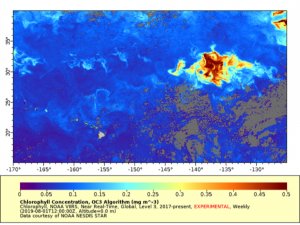 Map-Chlorophyll Concentrations