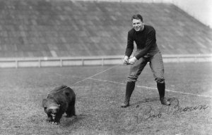 Football player Bob Brown and wolverine on the field