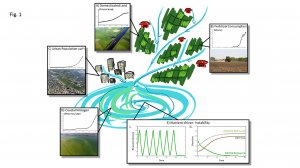 Ecosystems entaglement - McCann