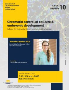 Chromatin control of cell size & embryonic development - Amanda Amodeo, Ph.D.