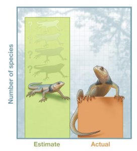 Illustrated bar graph showing lizards number of species estimate versus actual