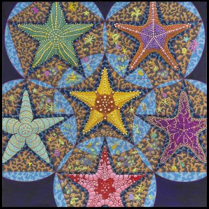 Starfish by Charles L. Gilchrist, photograph by the artist