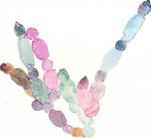 watercolor image inspired by one of Jill's study organisms, Allomyces,  painted by her Mom