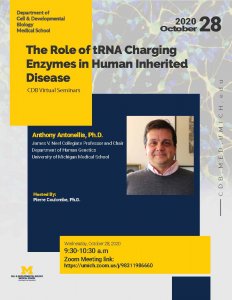 The Role of tRNA Charging Enzymes in Human Inherited Disease