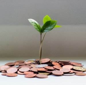 Scholarship Scholarship